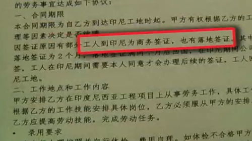 出國打工夢碎 簽證問題與中介服務的警示